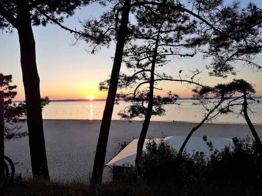 Appartement Les Pieds Dans L Eau Acces Direct Plage Pereire, Parking Gratuit ,Wifi 阿卡雄 外观 照片